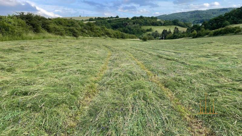 Prešov landwirtsch. Grundstücke Kaufen reality Prešov