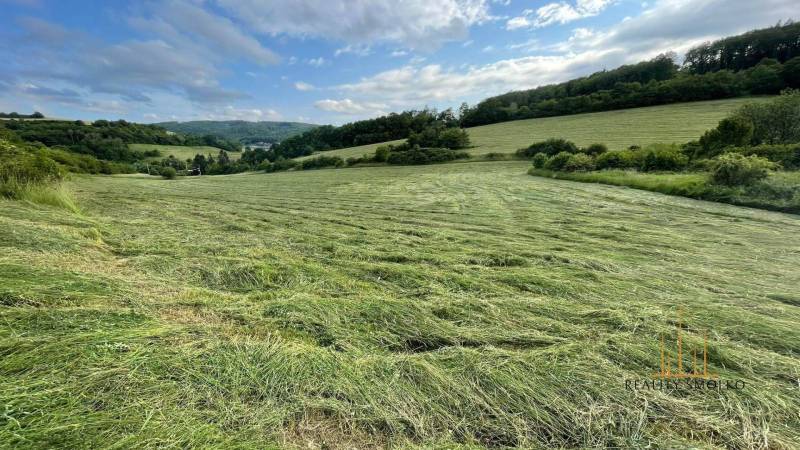 Prešov landwirtsch. Grundstücke Kaufen reality Prešov