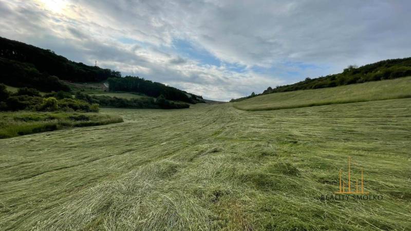 Prešov landwirtsch. Grundstücke Kaufen reality Prešov