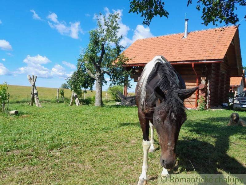 Zemiansky Vrbovok Ferienhaus Kaufen reality Krupina