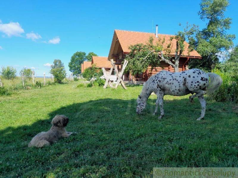 Zemiansky Vrbovok Ferienhaus Kaufen reality Krupina