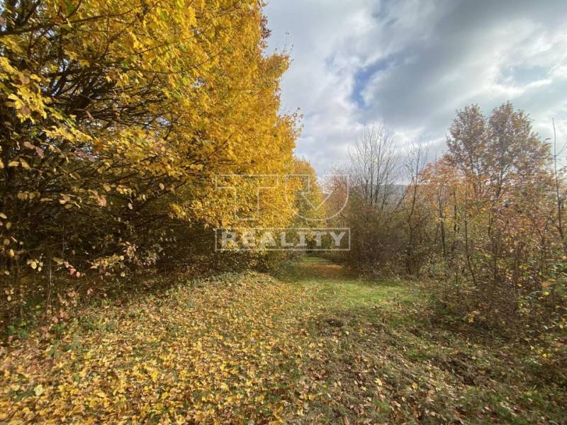 Horná Súča landwirtsch. Grundstücke Kaufen reality Trenčín