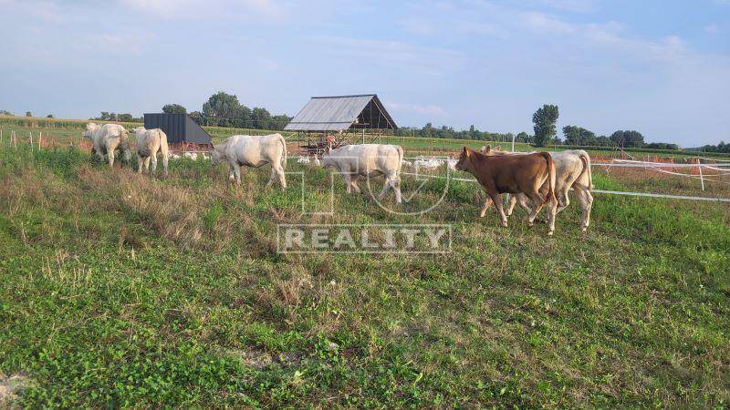 Okoč Gebäude Kaufen reality Dunajská Streda