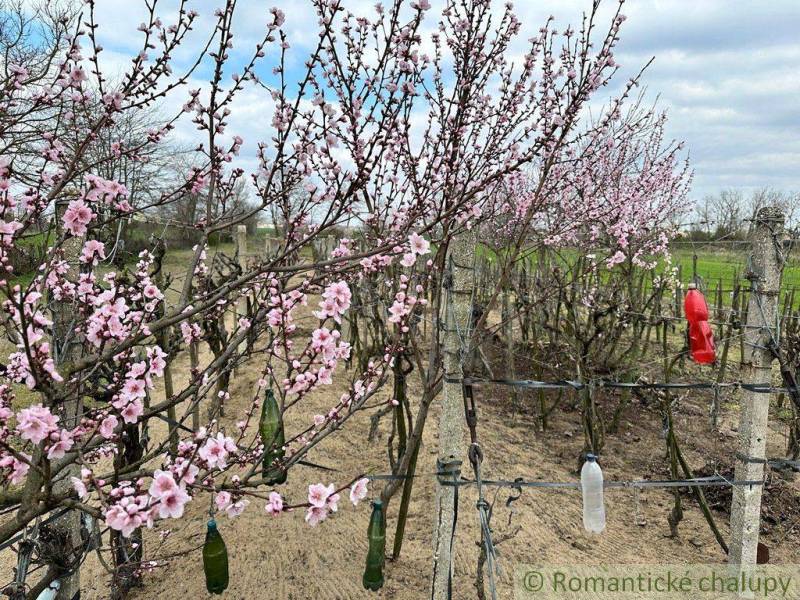 Komárno Garten Kaufen reality Komárno