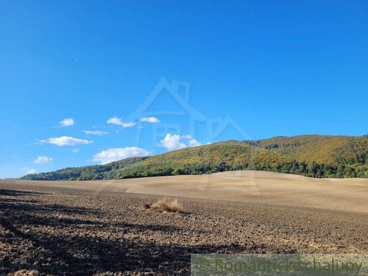 Dohňany landwirtsch. Grundstücke Kaufen reality Púchov