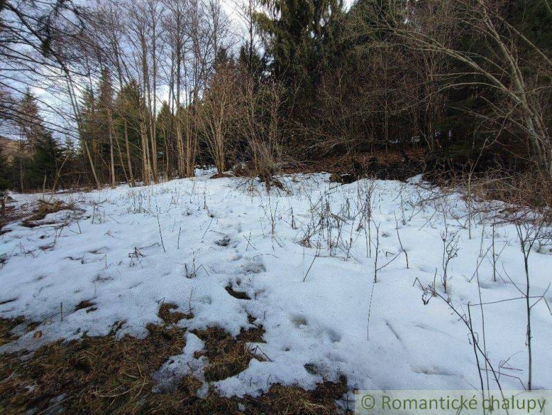 Banská Bystrica Garten Kaufen reality Banská Bystrica