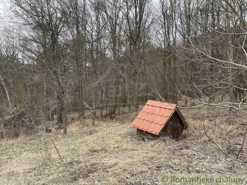 Krásnohorská Dlhá Lúka Ferienhaus Kaufen reality Rožňava