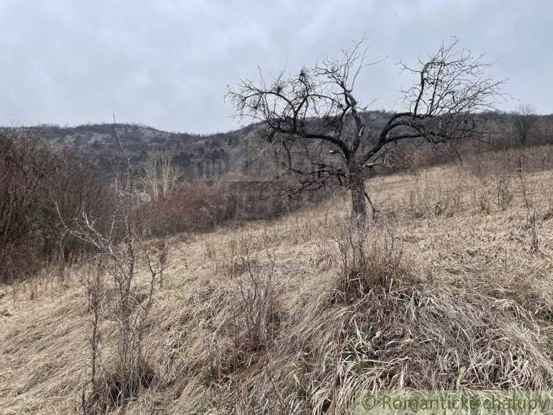 Jablonov nad Turňou landwirtsch. Grundstücke Kaufen reality Rožňava