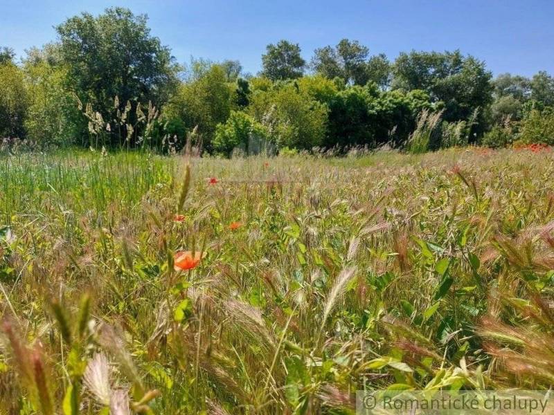 Radvaň nad Dunajom landwirtsch. Grundstücke Kaufen reality Komárno