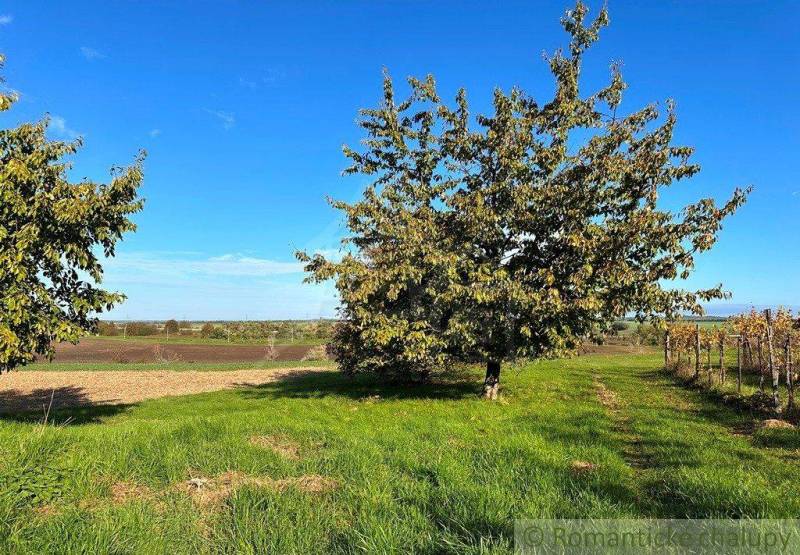 Nové Zámky landwirtsch. Grundstücke Kaufen reality Nové Zámky