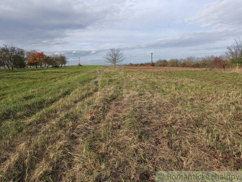 Vranov nad Topľou landwirtsch. Grundstücke Kaufen reality Vranov nad Topľou