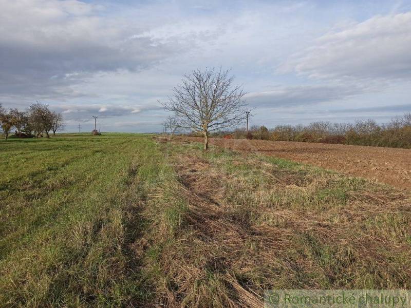 Vranov nad Topľou landwirtsch. Grundstücke Kaufen reality Vranov nad Topľou