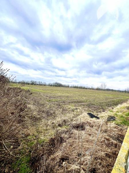 Veľké Dvorníky landwirtsch. Grundstücke Kaufen reality Dunajská Streda