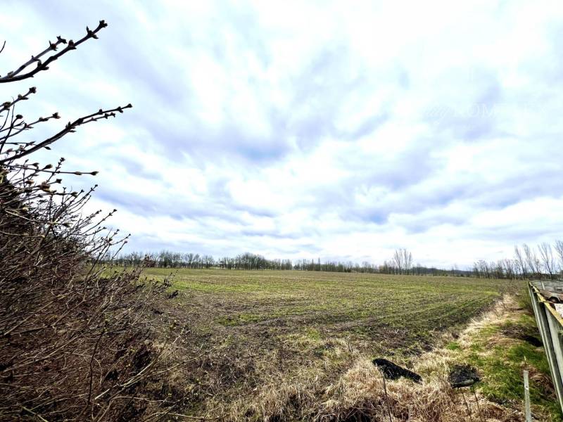 Veľké Dvorníky landwirtsch. Grundstücke Kaufen reality Dunajská Streda