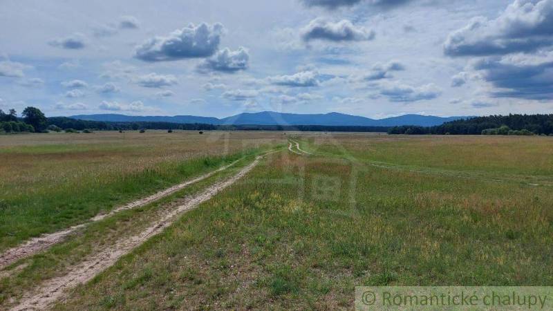 Borský Mikuláš Garten Kaufen reality Senica