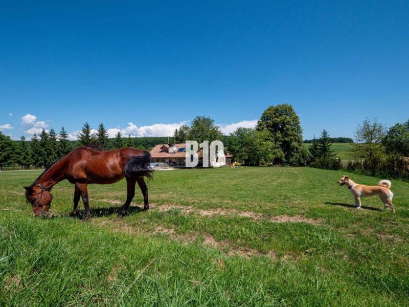 Breznička Villa Kaufen reality Poltár