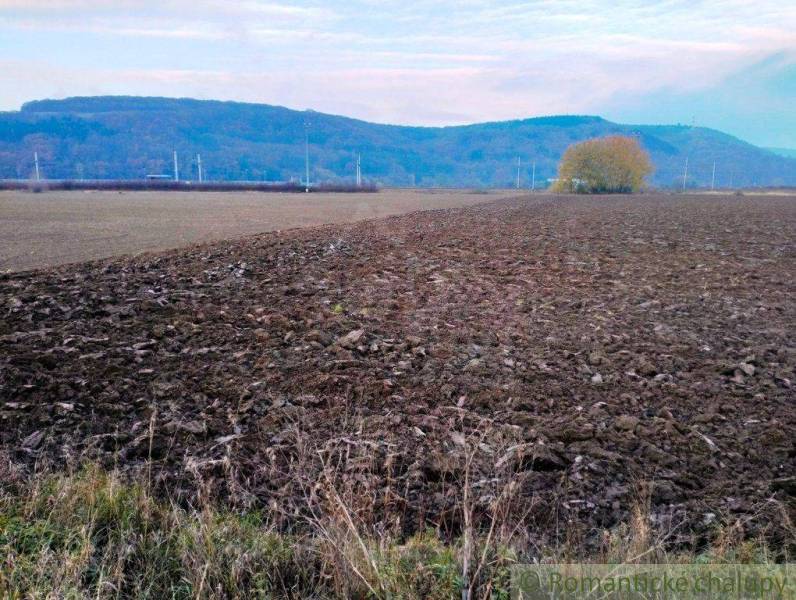 Trenčianske Bohuslavice landwirtsch. Grundstücke Kaufen reality Nové Mesto nad Váhom