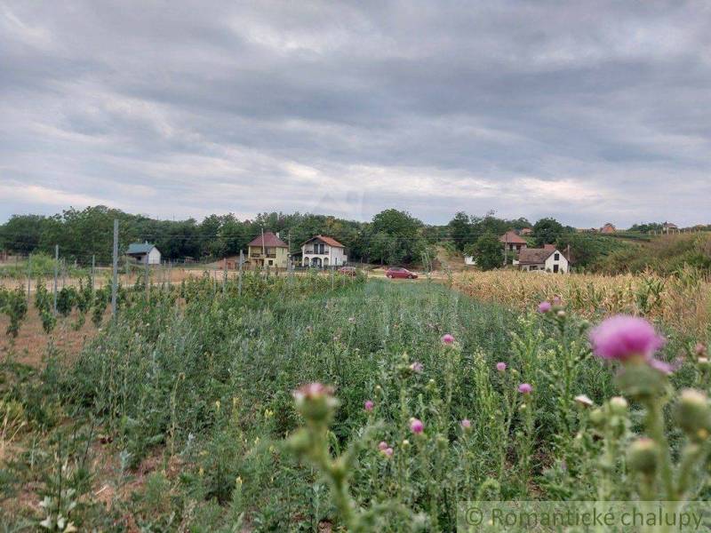 Komárno Ferienhaus Kaufen reality Komárno