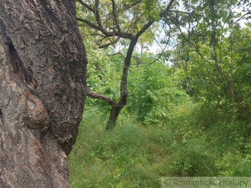 Komárno Garten Kaufen reality Komárno