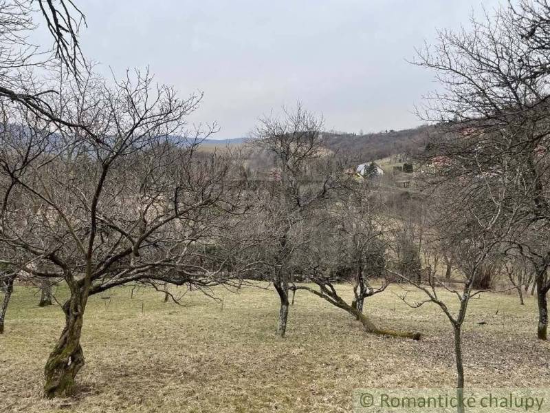 Jablonov nad Turňou Garten Kaufen reality Rožňava