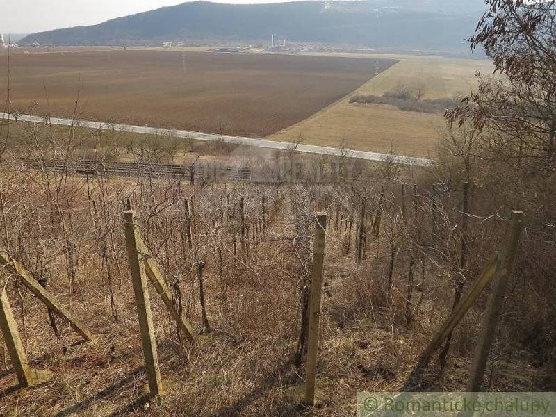 Dvorníky-Včeláre Ferienhaus Kaufen reality Košice-okolie