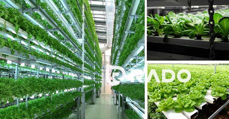 vertical-farming-home.jpg