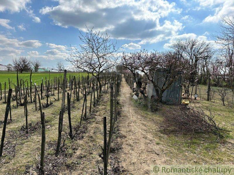 Komárno Garten Kaufen reality Komárno