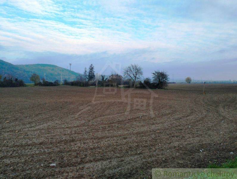 Trenčianske Bohuslavice landwirtsch. Grundstücke Kaufen reality Nové Mesto nad Váhom