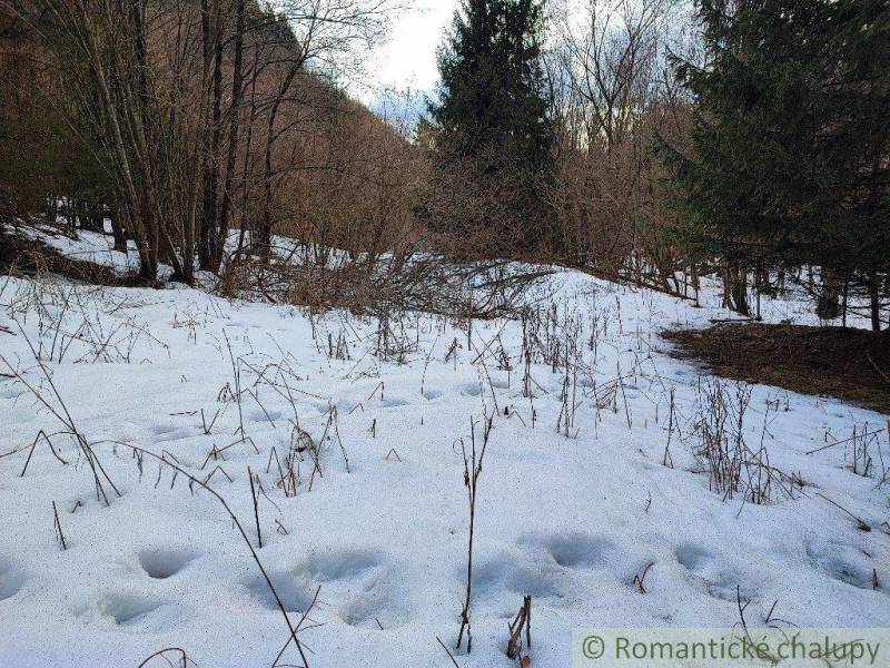 Banská Bystrica Garten Kaufen reality Banská Bystrica