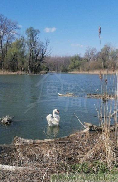 Dunajská Streda Einfamilienhaus Kaufen reality Dunajská Streda