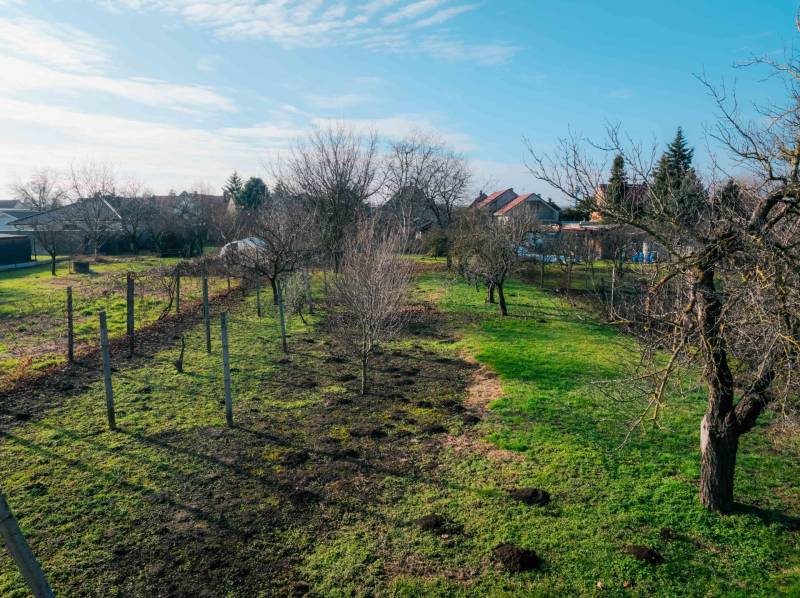 Rodinný dom Vlčkovce na predaj - záhrada