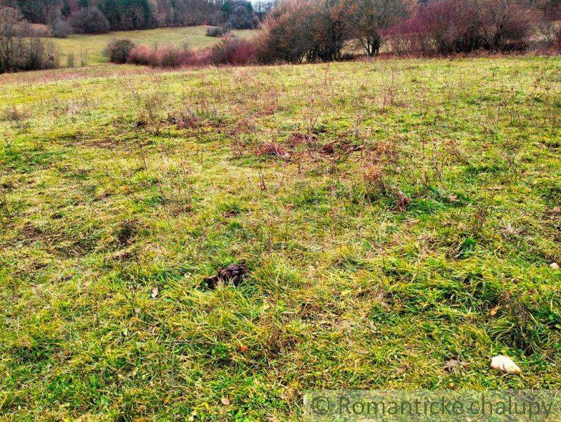 Nové Mesto nad Váhom landwirtsch. Grundstücke Kaufen reality Nové Mesto nad Váhom