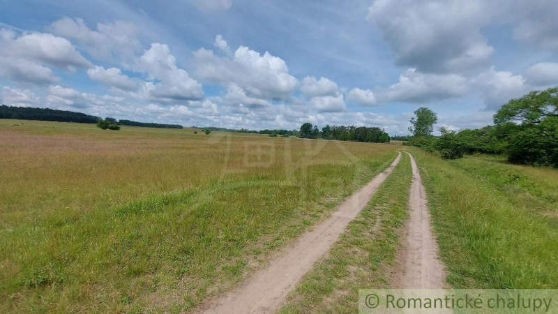 Borský Mikuláš Garten Kaufen reality Senica